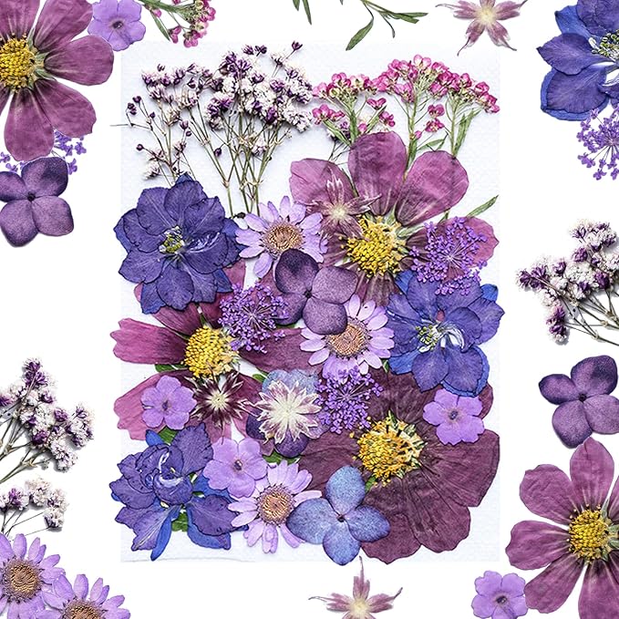 30Pcs Dried Pressed Natural Flowers for Resin Molds Real Pressed Flowers Dry Leaves Bulk Natural Herbs Kit for DIY Scrapbooking Art Crafts Jewelry Molds Candle Soap Making Nails Decor (Purple)