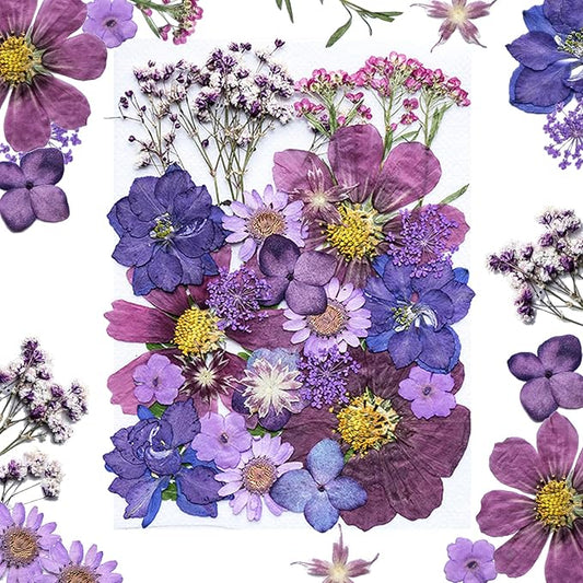 30Pcs Dried Pressed Natural Flowers for Resin Molds Real Pressed Flowers Dry Leaves Bulk Natural Herbs Kit for DIY Scrapbooking Art Crafts Jewelry Molds Candle Soap Making Nails Decor (Purple)