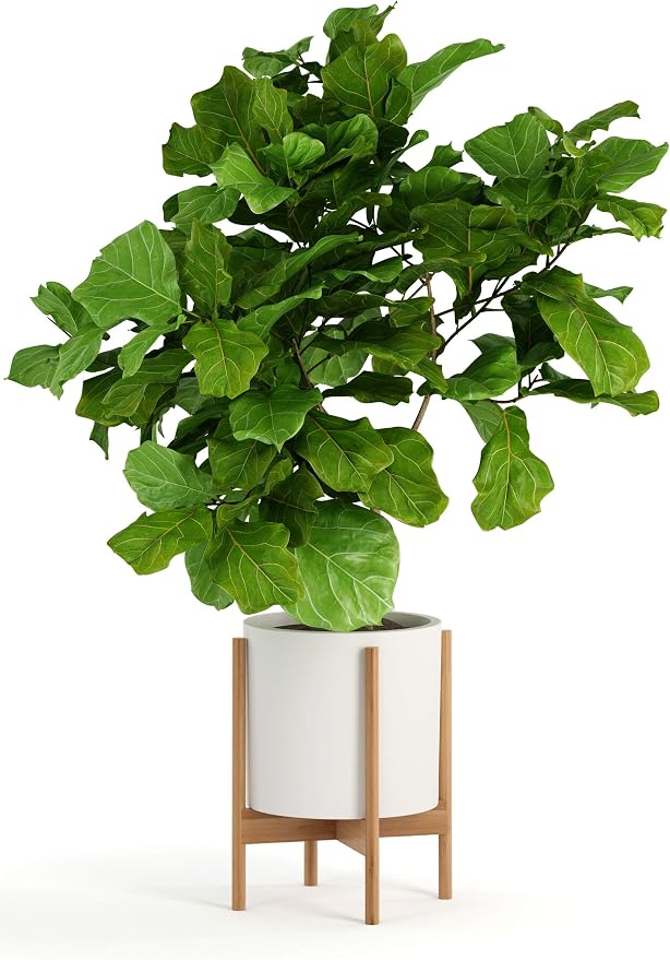Fox & Fern Bamboo Plant Stand — 11.8 Inch Fixed Size Wooden Mid Century Planter Stand for Indoor Planters (Not Included) - Large Flower Pot Holder for Indoor Big Pots - Plug In Design - Bamboo