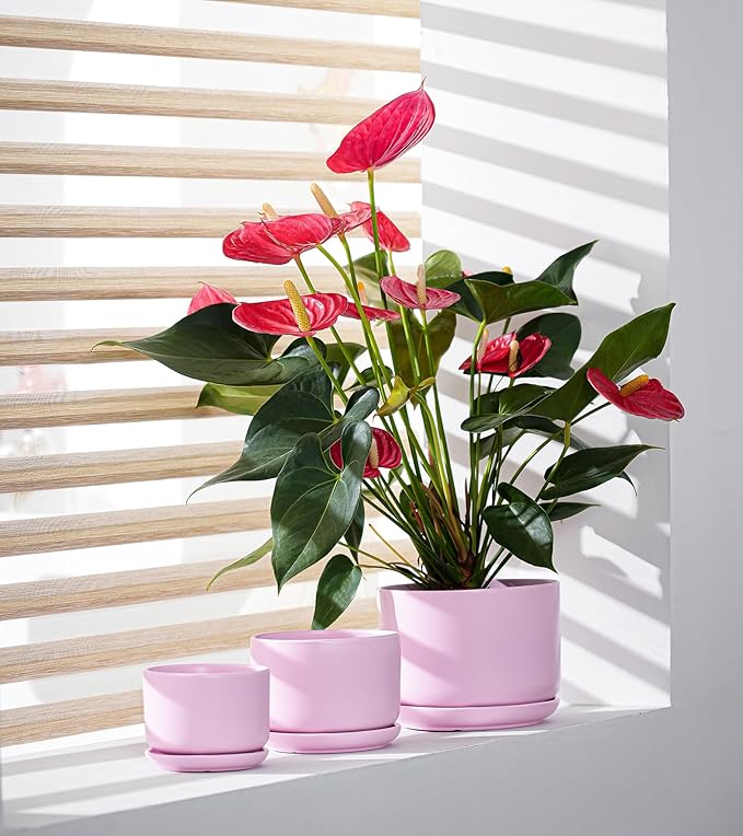 Ton Sin Pink Flower Pots,Ceramic Planter Pot for Indoor Plants,Set of 3 Flower Pot with Drainage Holes and Tray,Cute House Plant Pot for Succulent, Orchid, Cactus(Matte Pink)