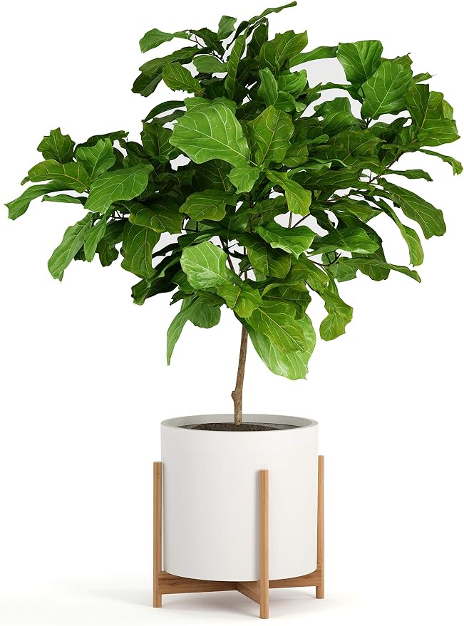 Fox & Fern Bamboo Plant Stand — 14.9 Inch Fixed Size Wooden Mid Century Planter Stand for Indoor Plants (Not Included) - Extra Large Flower Pot Holder for Indoor Big Pots - Plug In Design - Bamboo