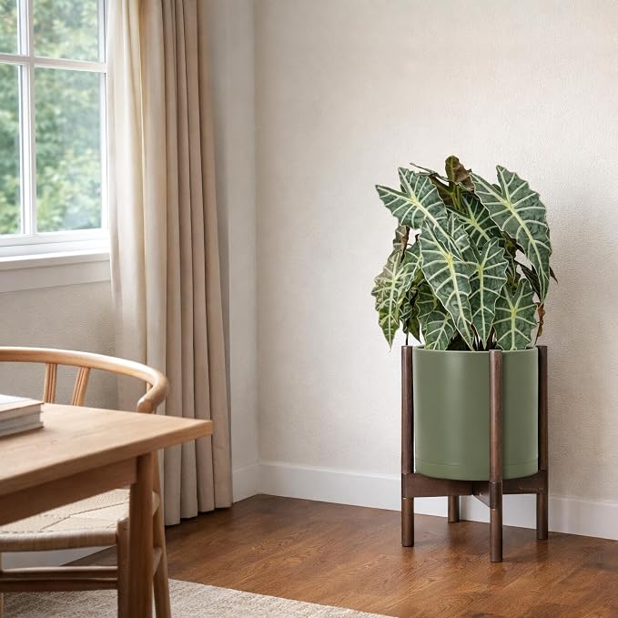 D'vine Dev Planter Pot with Stand - 10 Inch Plastic Cylinder Flower Pot with Wood Planter Holder for Indoor, Olive Pot + Walnut Color Stand, 55-C-L-3