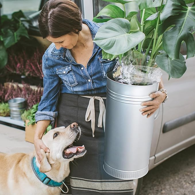 Worth Garden Galvanized Steel Planter 2-Pack - Large:28"x14.5" & Small:24"x12" - Tall Metal Plant Pots - Large Handcrafted Decoration Flower Pot for Indoor Outdoor, Deck, Patio, Front Porch - Silver