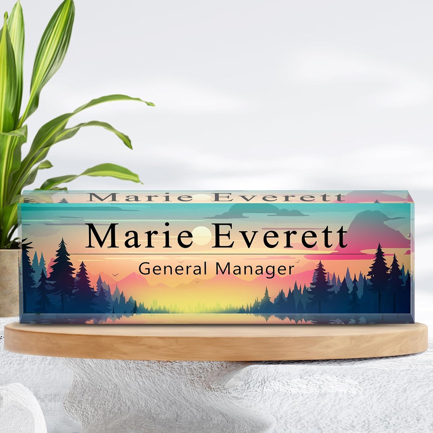 Skiennix Custom Name Plate - Personalized Acrylic Desk Accessory | Ideal Boss Appreciation Gift