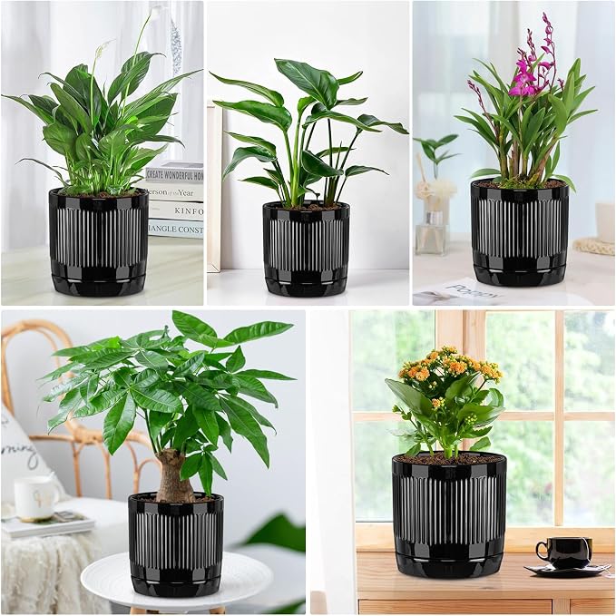 Vanavazon 6 Inch Glazed Ceramic Plant Pots with Drainage Hole and Saucer, Cylinder Indoor Planters for All House Plants, Modern Decor for Home & Office, Set of 2 (Black)