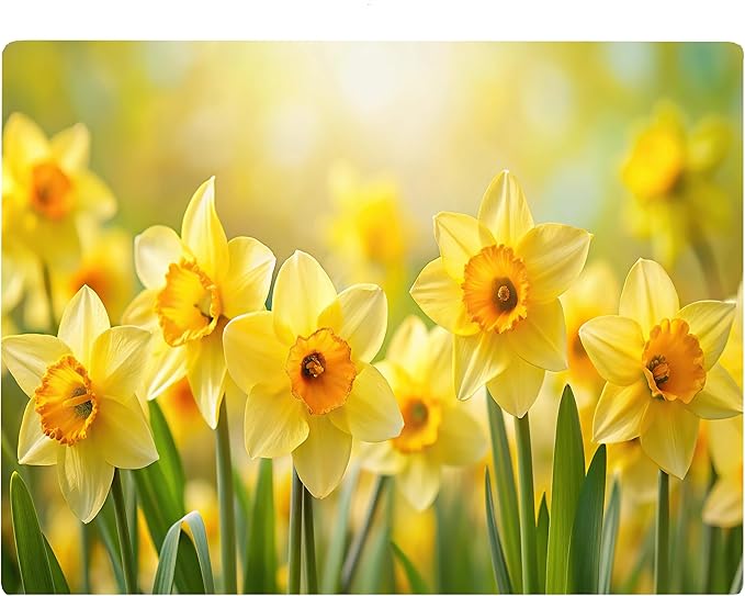 Daffodil Floral Pattern Flower Love Kitchen Glass Cutting Board Decorative Valentine's Mother's Day Gift For Her Flowers (Daffodil)