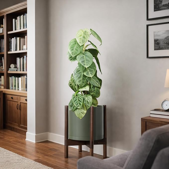 D'vine Dev Planter Pot with Stand - 10 Inch Plastic Cylinder Flower Pot with Wood Planter Holder for Indoor, Olive Pot + Walnut Color Stand, 55-C-L-3