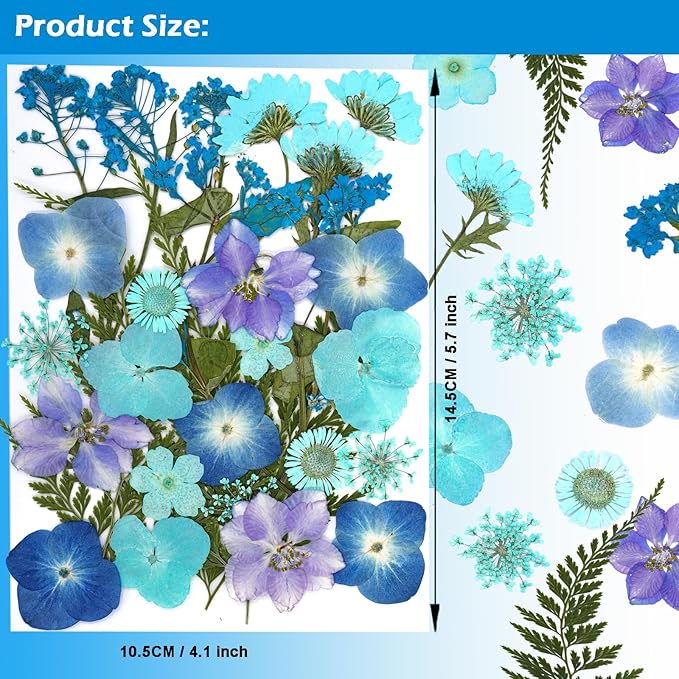 30Pcs Dried Pressed Natural Flowers for Resin Molds Real Pressed Flowers Dry Leaves Bulk Natural Herbs Kit for DIY Scrapbooking Art Crafts Jewelry Molds Candle Soap Making Nails Decor (Blue)