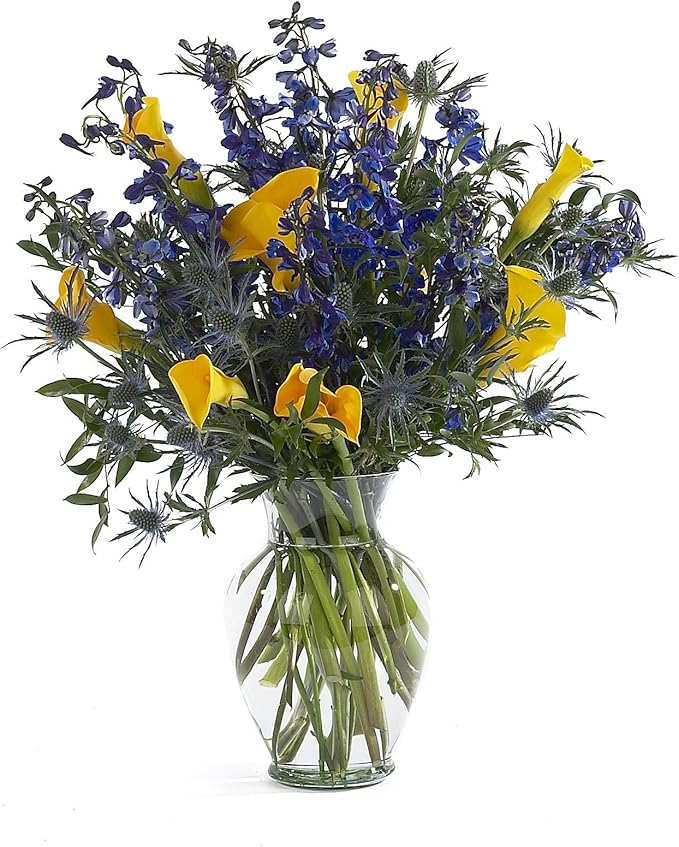 Floral Supply Online 10 5/8" Spring Garden Vase and Flower Guide Booklet- Decorative Glass Flower Vase for Floral Arrangements, Weddings, Home Decor or Office. (Clear)