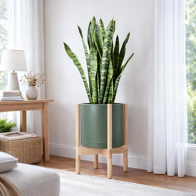 D'vine Dev Planter Pot with Stand - 10 Inch Plastic Cylinder Flower Pot with Wood Planter Holder for Indoor, Olive Pot + Natural Stand, 55-C-M-3