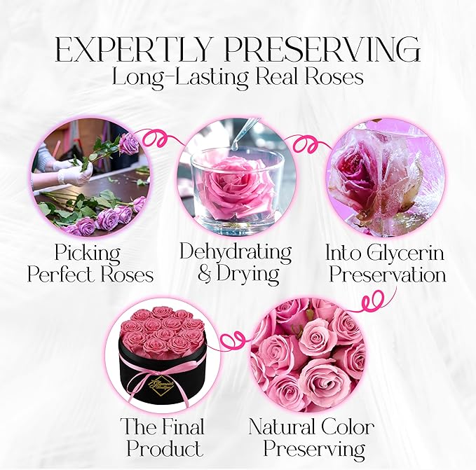 GLAMOUR BOUTIQUE Flowers Forever Gift Box 12 Real Preserved Roses in a Velvet Black Box, Birthday for Her Mom and Wife, Mothers Day, Anniversary, Graduation - Pink