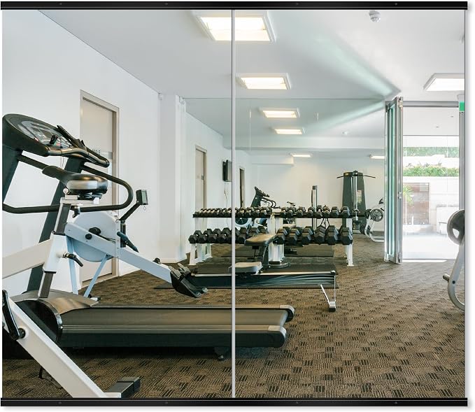 Delma Home Gym Mirror, 48''x28''x2PCS Black Wall Mounted Large Frameless Tempered Glass Wall Mirror for Home Gym, Garage, Bedroom, Bathroom