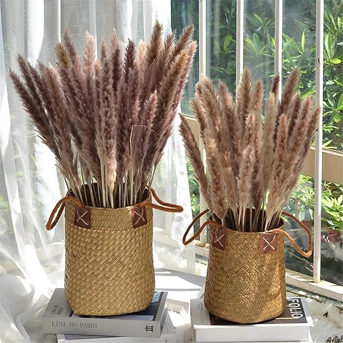 60 Pcs Pampas Grass ,17.7 inch/45cm Natural Dried Pampas Grass Branches Decor for Home Kitchen Garden Party Photographing Flower Arrangement Vase Decor (Natural)…