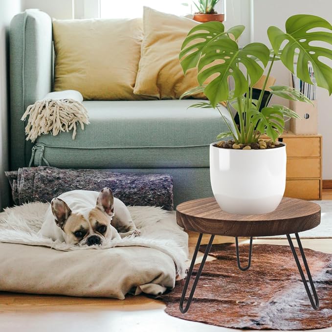 Wood Plant Stand Indoor Outdoor, 10'' Wooden Planter Stands Fit 5-12 Inch Pot, Plant Stool Flower Pot Stand Gardening Display Pedestals for Decor Living Room Balcony, Office, Patio