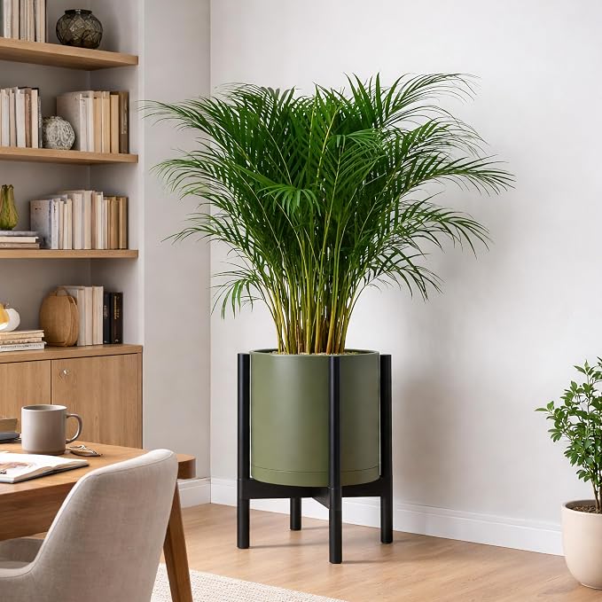 D'vine Dev Planter Pot with Stand - 12 Inch Plastic Cylinder Flower Pot with Wood Planter Holder for Indoor, Olive Pot + Ebony Stand, 55-C-Q-3