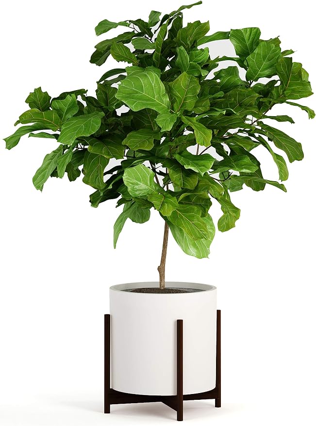 Fox & Fern Bamboo Plant Stand — 14.9 Inch Fixed Size Wooden Mid Century Planter Stand for Indoor Planters (Not Included); Extra Large Flower Pot Holder for Indoor Big Pots; Plug In Design; Dark Bamboo