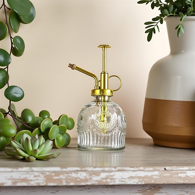 Glass Plant Mister Spray Bottle, 230ML Vintage Plant Spritzer, Succulent Watering Bottle Glass with Top Pump, Small Plants Sprayer Watering Can for Indoor Outdoor House(Clear)