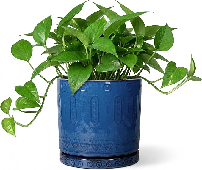 Eightpot Ceramic Planter, 6 Inch Plant Pot with Drainage Hole and Tray, Round Flower Pots for Indoor Outdoor Plants, Boho Decorative Pots for Plants, Bookshelf Decor, House Warming Gift, Blue