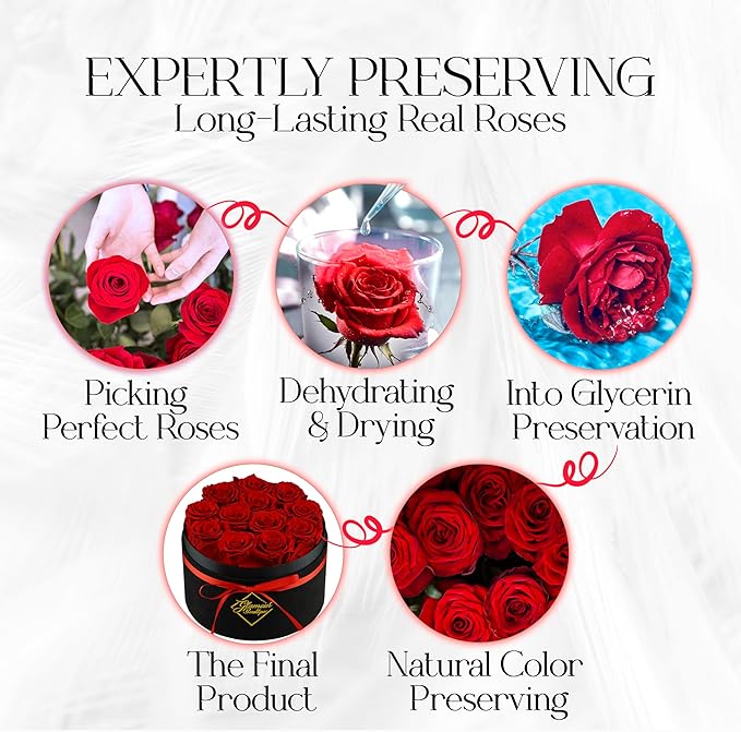 GLAMOUR BOUTIQUE Flowers Forever Gift Box 12 Real Preserved Roses in a Velvet Black Box, Birthday for Her Mom and Wife, Mothers Day, Anniversary, Graduation - Red