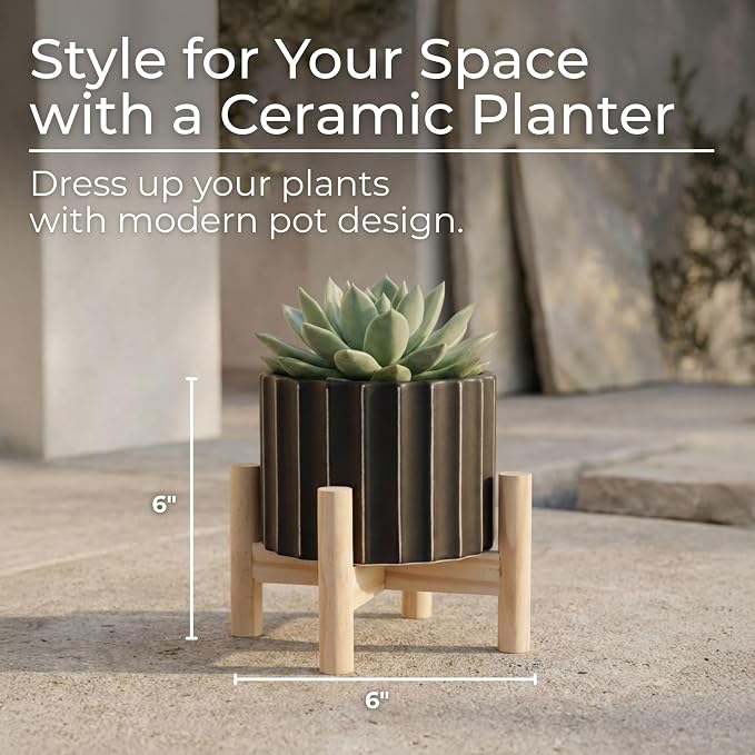 Ceramic Planter with Elevated Stand – Wood Indoor Plant Stand, Display for Greenery, Shelf or Patio Placement – Textured Modern Planter Pot for Elevated Display, Home Decor, Outdoor Decor – 6", Black