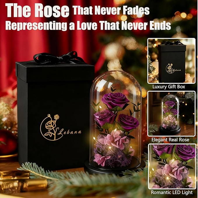 Birthday Gifts for Women Mom Fresh Flowers for Delivery Prime Forever Preserved Rose in Glass Dome Gifts for Her Girlfriend Grandma Daughter Wife Valentines Mothers Day Christmas Anniversary-Purple ﻿