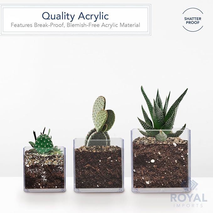 Royal Imports Flower Acrylic Vases Cubes, Decorative Centerpiece for Home or Wedding, Non Breakable Plastic, 6x6 - Clear