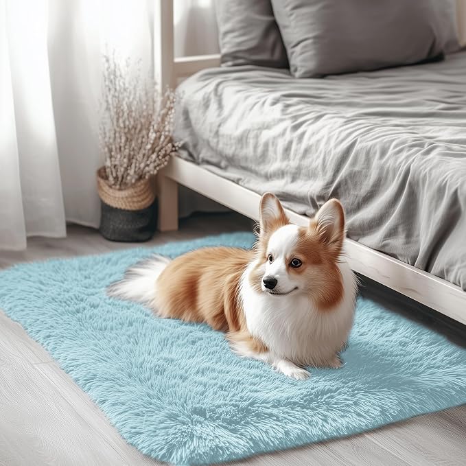 OLANLY 2x3 Machine Washable Small Bedside Rug, Soft Fluffy Shaggy Entryway Throw Rugs for Bedroom, Living Room, Indoor Floor Carpet for Kids Girls and Boys, Home Decor Aesthetic, Light Blue
