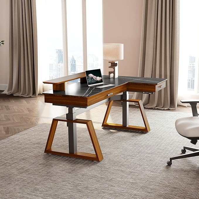 EUREKA ERGONOMIC Electric Standing Desk with Dual Drawers,Rock Slab-Black