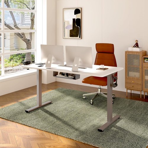 FLEXISPOT EN2 Electric Height Adjustable Standing Desk - 55" White Top with Gray Frame & Power Strip