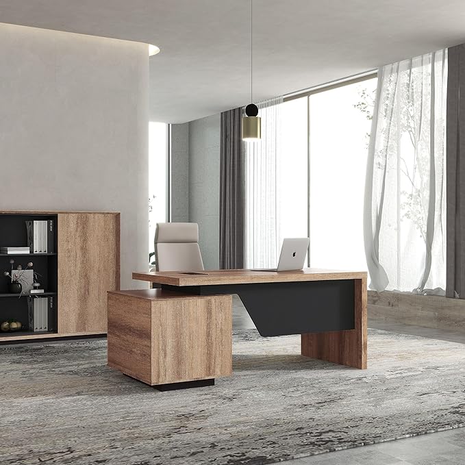 Modern Executive Desk, Rectangle Office Desk with Storage Cabinet, Width Adjustable Desks for Home Office, Business Desk Stand Under Table Storage Organizer, Wood