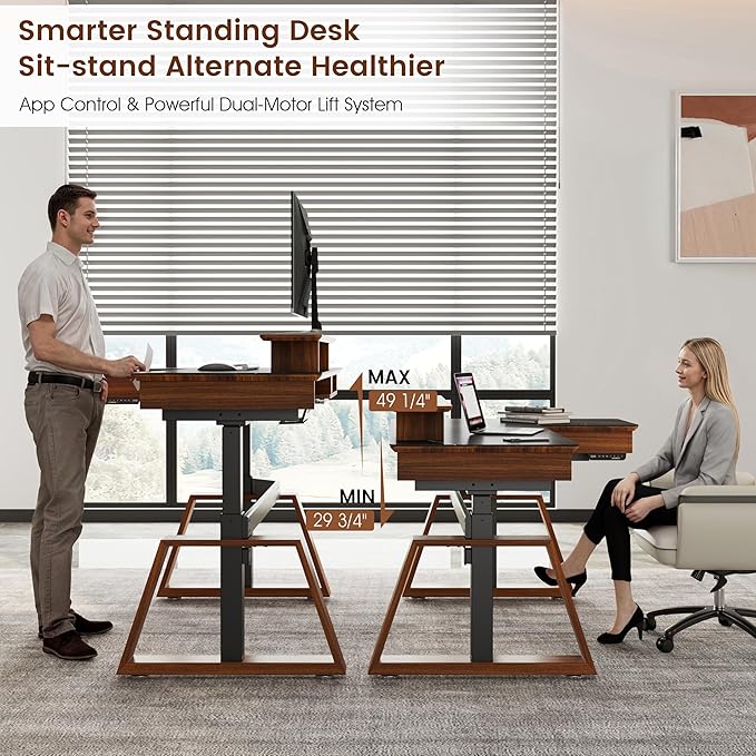 EUREKA ERGONOMIC Electric Standing Desk with Dual Drawers,Rock Slab-Black