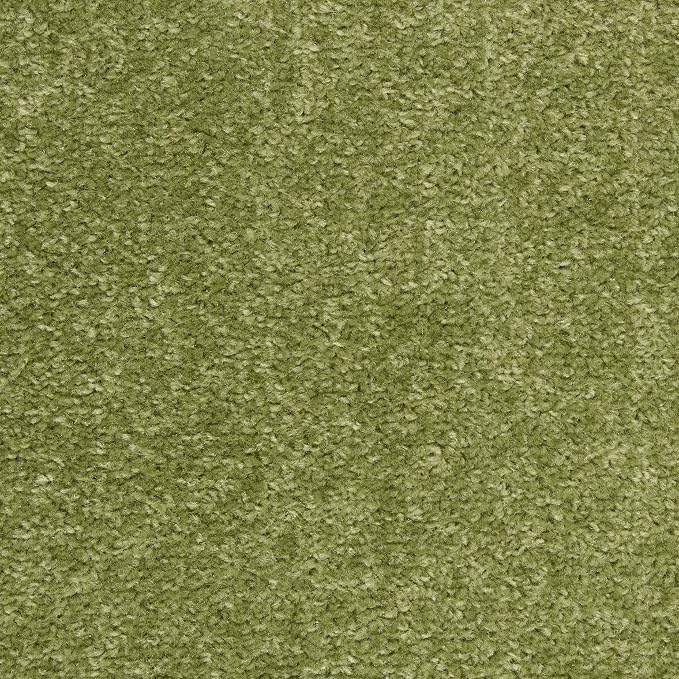 Nourison Home Nourison Essentials Green 3' x 5' Area Rug - Easy Clean, Non Shedding, Bed Room, Living Room, Dining Room, Kitchen (3' x 5')