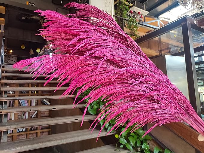 Pampas Grass Decor Tall,Long Pampas, Large Pompas Floral, Elegant Feather Flowers for Wedding Decorations, Living Room Decor (Natural Purple Red, 8pcs 31.5"(80cm))