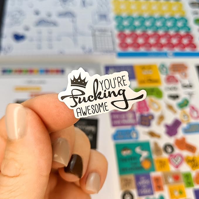 Vladi Creative Rude & Humorous Planner Stickers - 660pcs, 12 Sheets, Funny Adult Curse, Meme & Rude Stickers for Planners, Journals & Organizers, Hilarious & Bold Adult Humor Designs for Personal Use