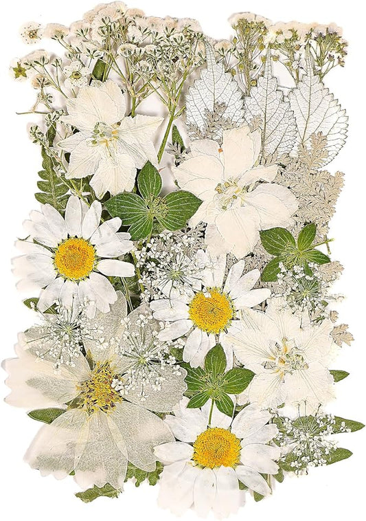 White Dried Pressed Flowers for Crafts,Real Natural Dried Flowers and Leaves for Resin Mold Scrapbooking DIY Candle Making Gifts（Modern Style）