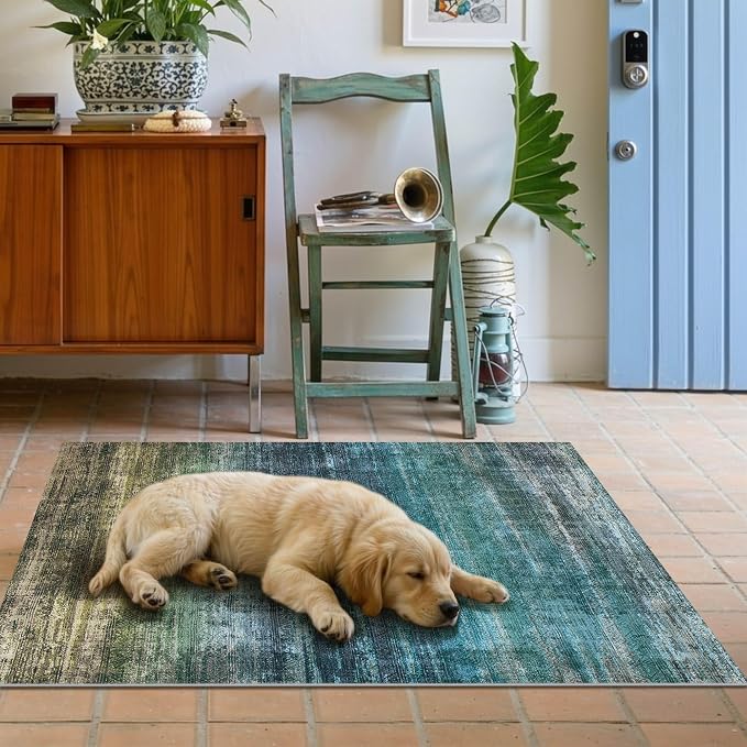 Kokia Abstract Area Rug Washable 2x3 Non-Slip Stain Resistant Entryway Rug Soft Indoor Mat for Kitchen Door Decor, Oslo Teal