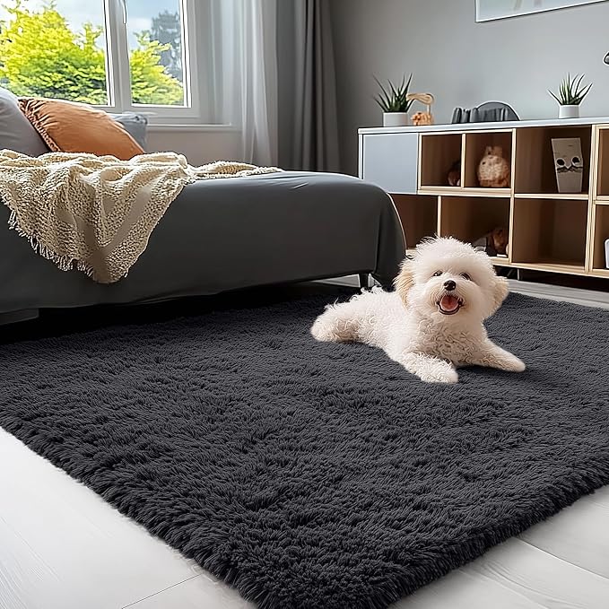 OLANLY 4x5 Machine Washable Accent Rug, Soft Fluffy Shaggy Area Rug for Bedroom, Living Room, Indoor Floor Carpet for Kids, Nursery, Home Decor, Black