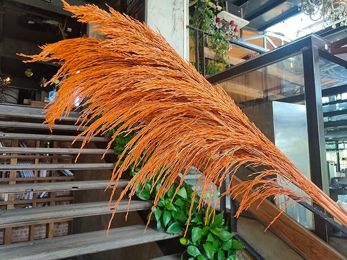 Pampas Grass Decor Tall,Long Pampas, Large Pompas Floral, Elegant Feather Flowers for Wedding Decorations, Living Room Decor (Natural Orange, 4pcs 43.3"(110cm))
