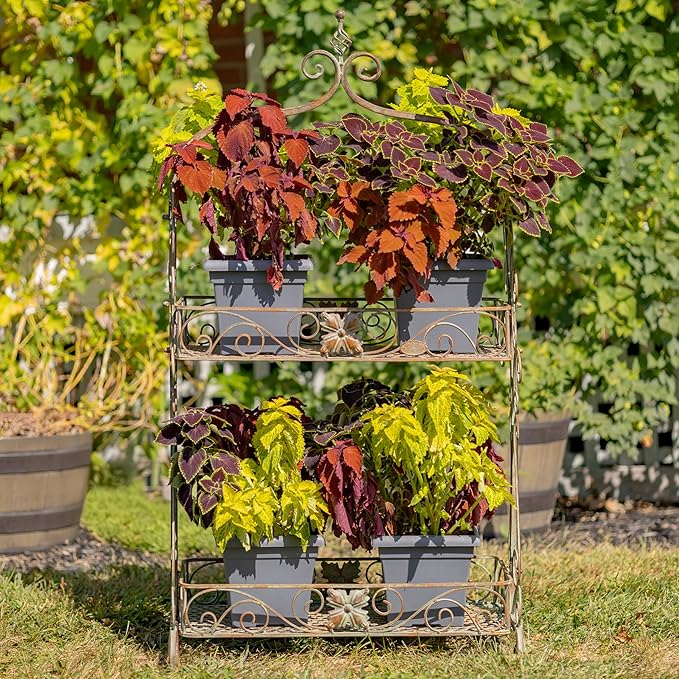 Zaer Ltd. Two Tier Rectangular Ornate Metal Plant Stand (Frosted Green)