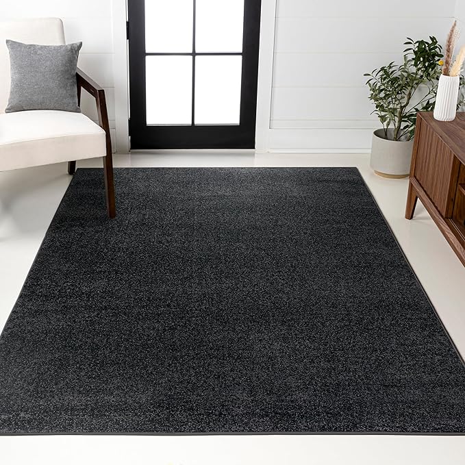 JONATHAN Y Haze Solid Low-Pile Black Indoor Area Rug 10x14, Coastal,Bohemian,Minimalist,Classic, Easy-Cleaning for Living Room,Bedroom,Kitchen,Pet Friendly,Non-Shedding (SEU100I-14)