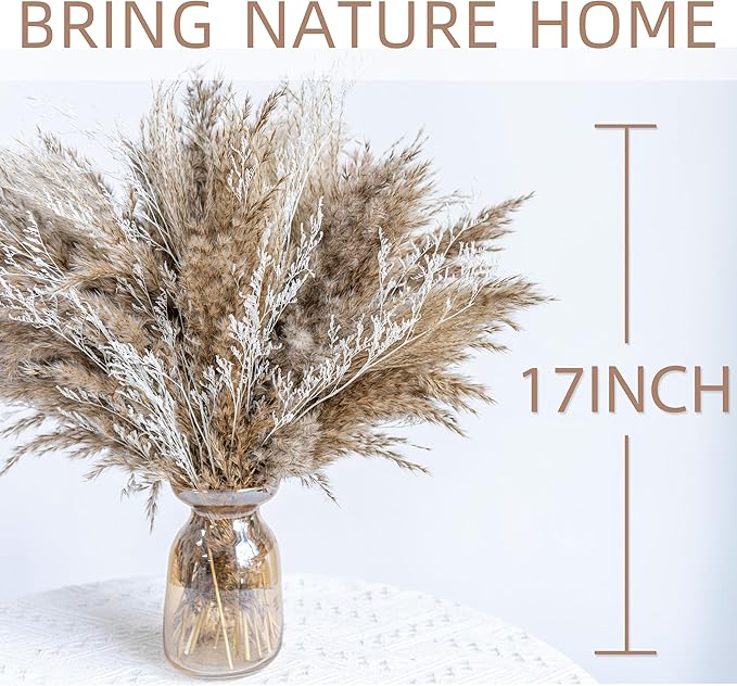 WILD AUTUMN Fluffy Boho Decor Dried Grass - Dried Pampas Grass Short pompas Grass Vase Filler Dried Flowers Wedding Home Table Rustic Farmhouse Decor