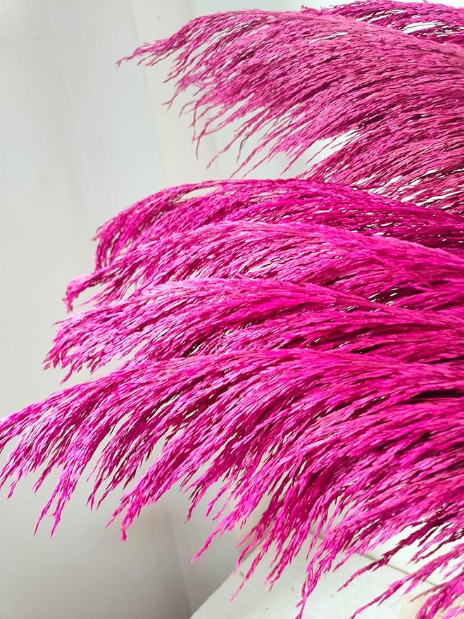 Pampas Grass Decor Tall,Long Pampas, Large Pompas Floral, Elegant Feather Flowers for Wedding Decorations, Living Room Decor (Natural Purple Red, 4pcs 43.3"(110cm))