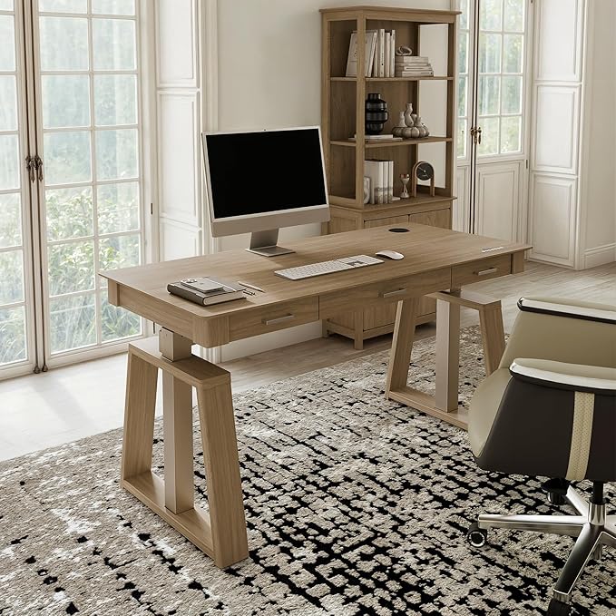 EUREKA ERGONOMIC Standing Desk,60x26 Executive Desk with 3 Drawer Adjustable Height Electric Desk Home Office Computer Desk Modern Workstation with Memory Controller
