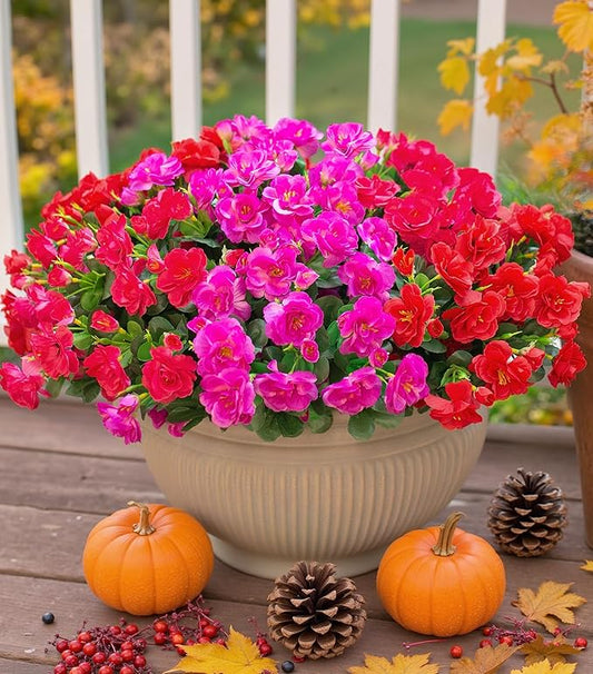 Ivydale Artificial Faux Outdoor Flowers Plants for Fall Decor, Fake Silk Colorful Camellia UV Resistant Look Real for Planter Outside Porch Patio Balcony Garden Yard Home Decoration, 3 Large Bundles