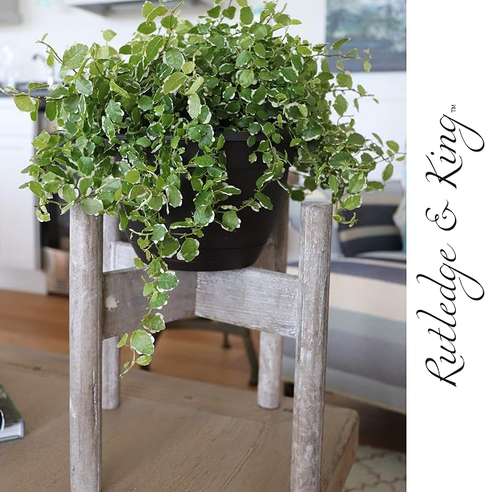 Rutledge & King Mid Century Plant Stand - Modern Plant Stand - Indoor Plant Stand - Wooden Plant Stand - Plant Holder (Small, Aberdeen/Driftwood)