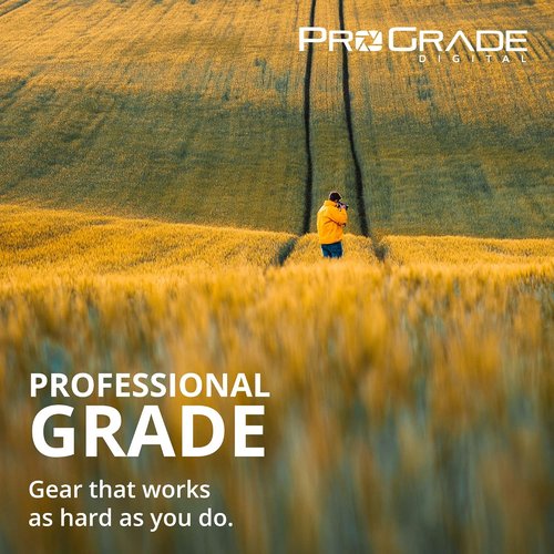 ProGrade Digital CFexpress Type B & SD UHS-II Dual-Slot Memory Card Reader - USB 3.2 Gen 2 for Filmmakers & Photographers
