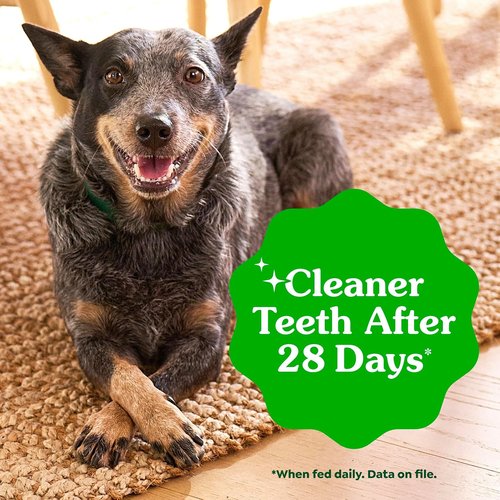 Greenies - Veterinarian-Recommended Natural Dental Dog Treats - Teenie Size, Original Flavor, 12 oz Pack