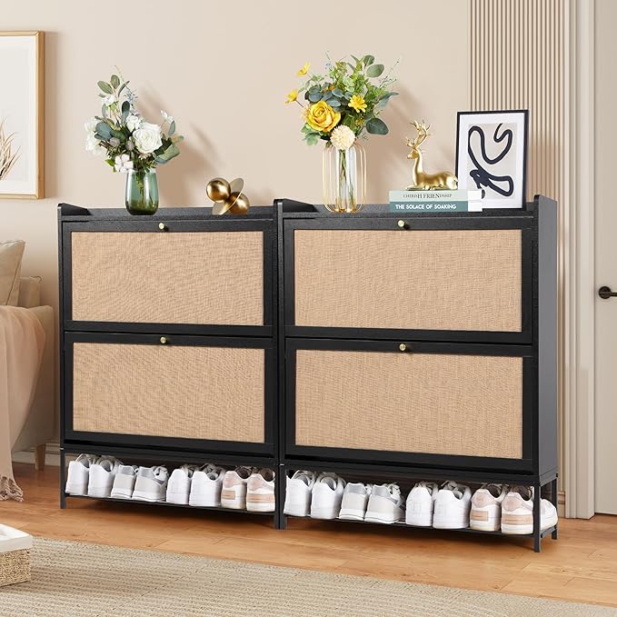 LEVNARY Shoe Cabinet for Entryway, Black Slim Shoe Cabinet with 2 Flip Drawers Narrow Shoe Storage Cabinet, 2 Tier Freestanding Shoe Organizer for Entryway, Hallway, Living Room (2, Black)