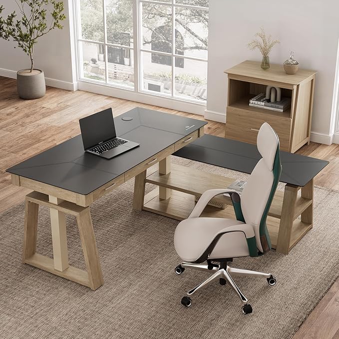 EUREKA ERGONOMIC L Shaped Standing Desk Ark EX, 60in Executive Adjustable Height Office Desk with Drawers,Computer Desk with Storage, Modern Executive Home Office,Oak Grey