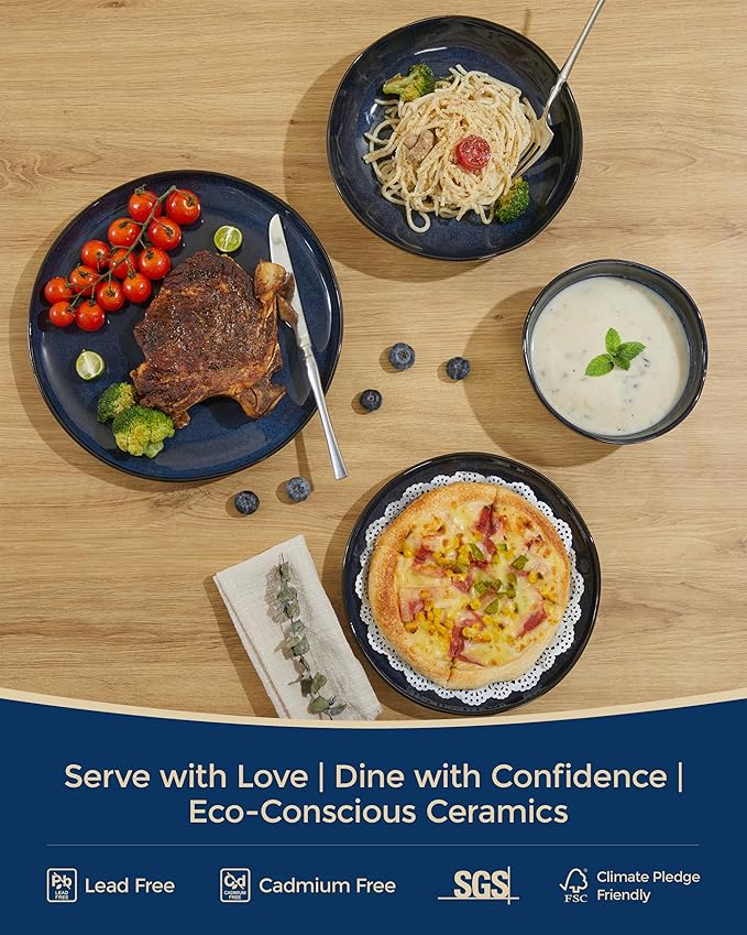 Pokini Plates and Bowls Sets, 16 Pieces Dinnerware Set for 4 with Pasta Bowls, Handmade Dishes Set, Chip Resistant Dishware Sets, Microwave Safe Dinner Set, Designed for Interactive Meals, Starry Blue